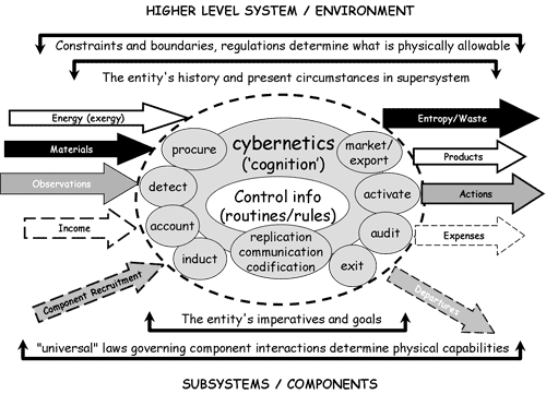 Autopoietic organization subsystems
